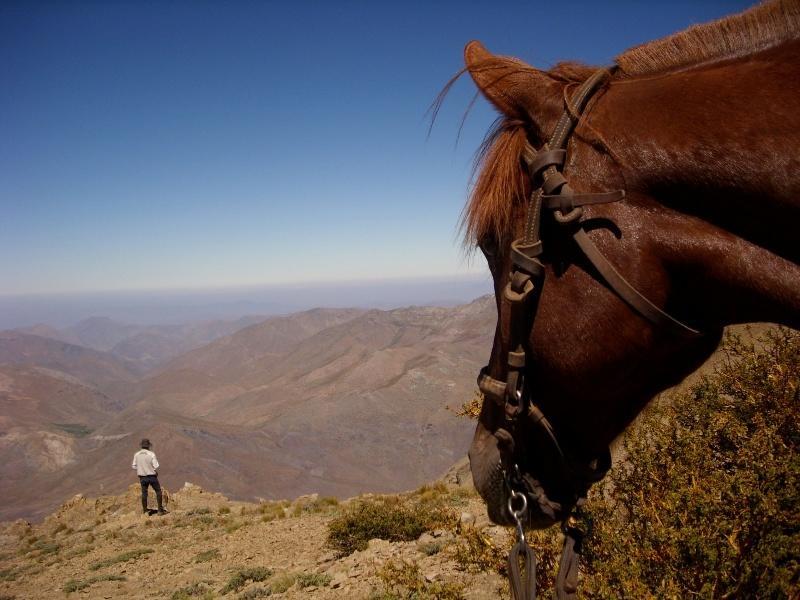 Hacienda Los Andes Villa Hurtado Eksteriør bilde