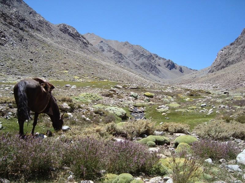Hacienda Los Andes Villa Hurtado Eksteriør bilde